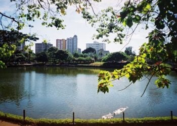 Dia Mundial da Limpeza: parques de Goiânia recebem ações voluntárias neste sábado