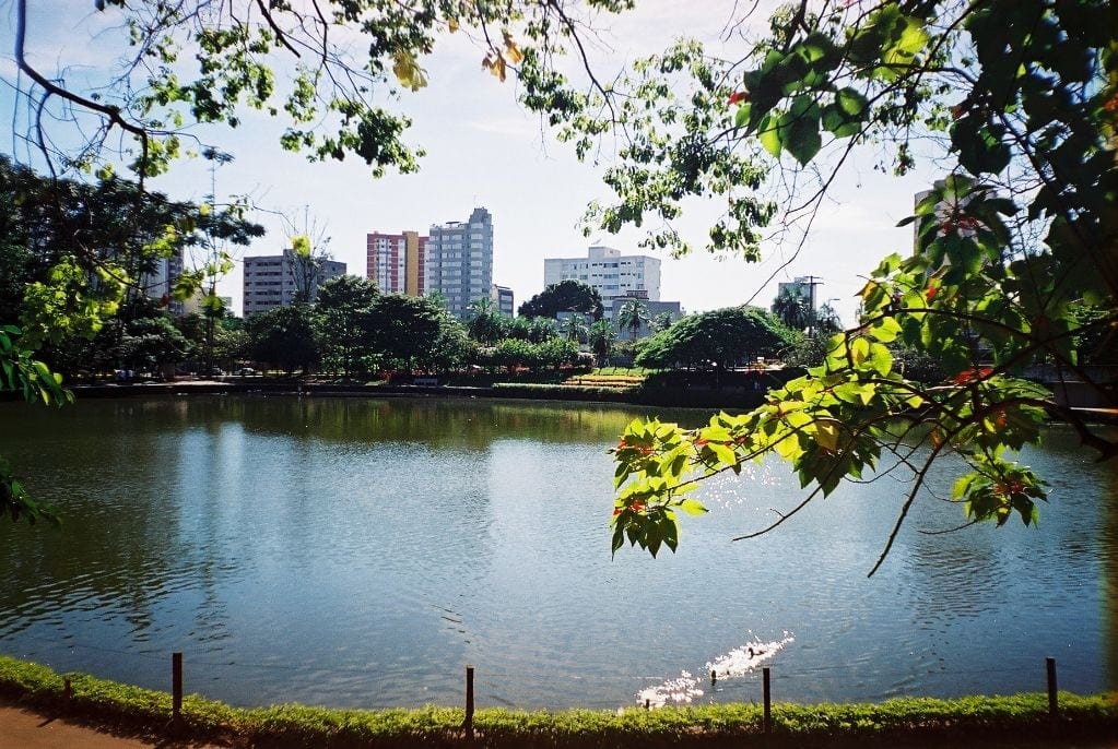 Dia Mundial da Limpeza: parques de Goiânia recebem ações voluntárias neste sábado