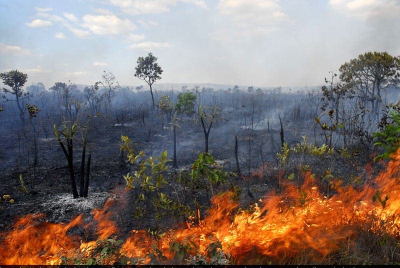 Em 43 minutos, 5 incêndios foram registrados pelos Bombeiros em Goiás