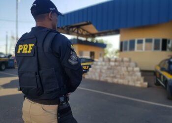 Polícia apreende maior carga de maconha da história do Distrito Federal
