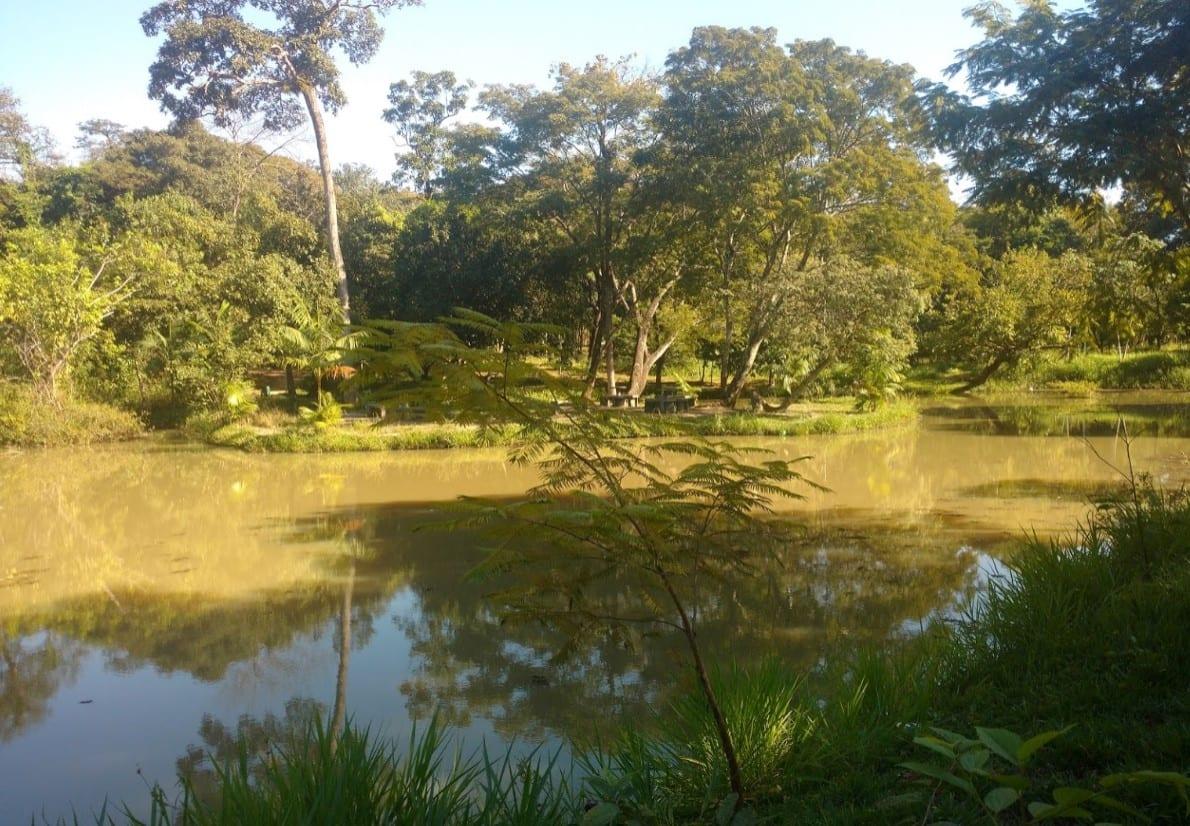 10 parques em Goiânia para manter contato com a natureza