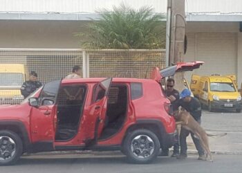 Doutoranda da PUC Goiás é presa ao ir aos Correios receber encomenda de drogas; veja o vídeo