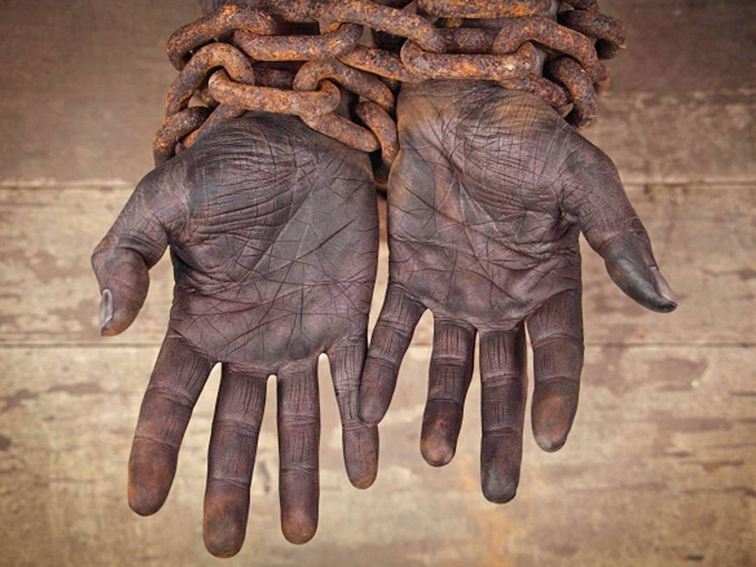 Goiás tem 10 empregadores na lista de trabalho escravo