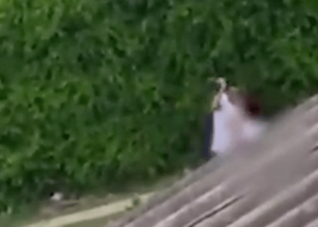 Vídeo mostra homem espancando mulher que protege bebê no colo, no DF