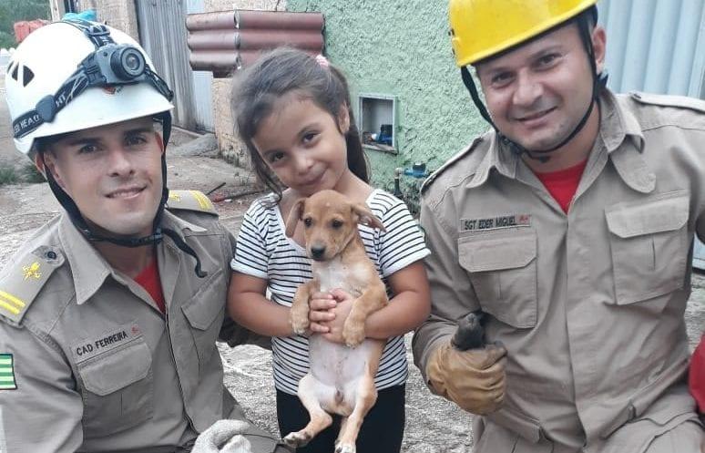 Bombeiros resgatam cãozinho que ficou preso em bueiro, em Goiânia