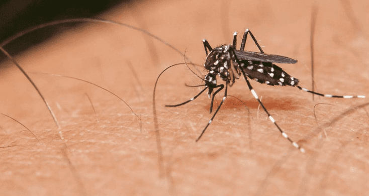 Goiás tem o maior número de casos de dengue registrados no país em 2018