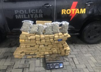 Polícia apreende mais de 100 quilos de maconha em uma residência de Goiânia