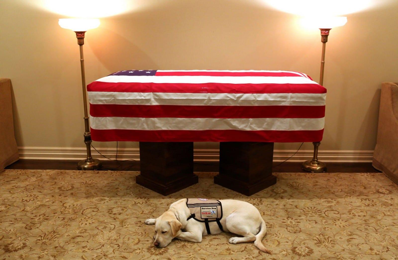 Cão de George H. W. Bush fica ao lado do caixão do ex-presidente dos EUA