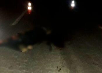 Mulher morre atropelada na BR-153, em Goiânia