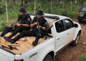Operação da polícia apreende mais de meia tonelada de maconha, em Aparecida de Goiânia