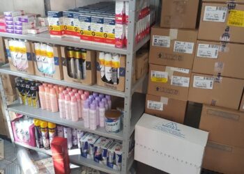 Polícia apreende mais de três toneladas de medicamentos vencidos que eram comercializados, em Goiás