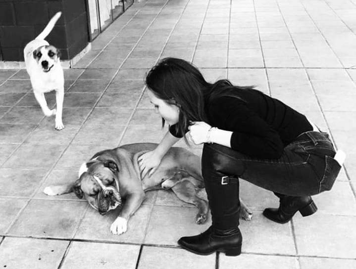 'Te amo pra sempre', diz mensagem de Larissa Manoela dedicada a cão que morreu