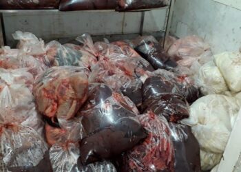 Decon apreende 17 toneladas e carne imprópria para consumo, em Goiânia