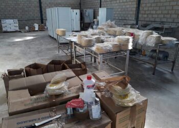 Fábrica clandestina de pizzas e pastéis funcionava no meio de insetos e pássaros, em Goiânia