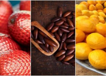 Frutas do cerrado: 13 delícias que você precisa experimentar