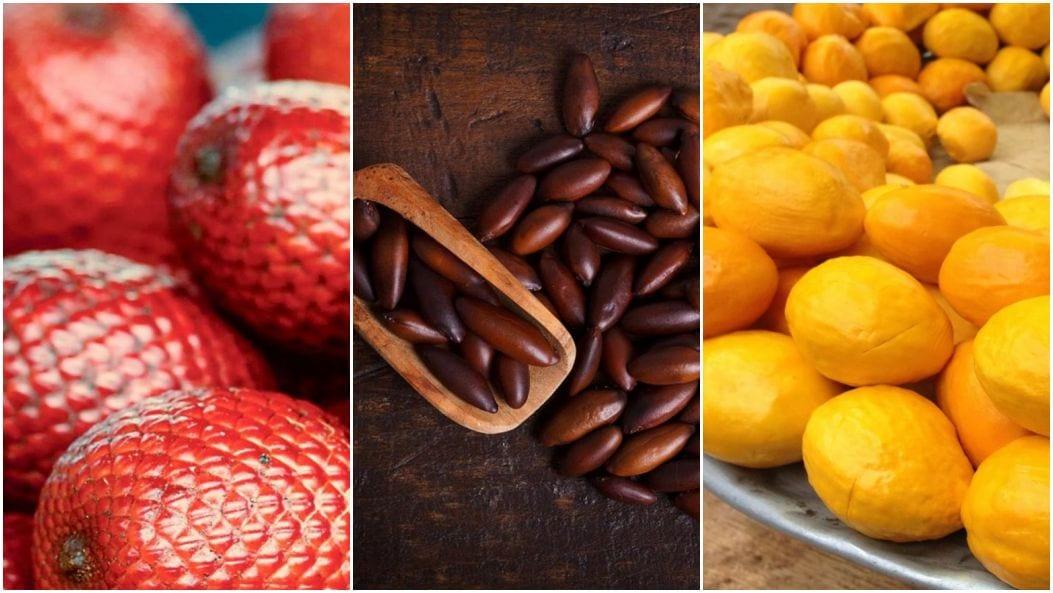 Frutas do cerrado: 13 delícias que você precisa experimentar