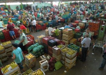 Caiado recria Secretaria de Agricultura, Pecuária e Abastecimento em Goiás