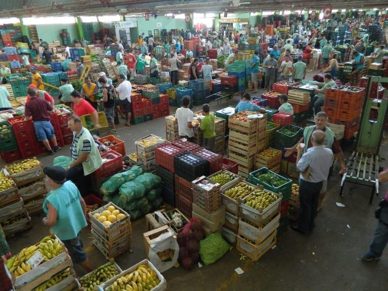 Caiado recria Secretaria de Agricultura, Pecuária e Abastecimento em Goiás