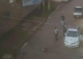 Vídeo mostra PM do DF atirando em cachorro após ser acionado para conter animal 