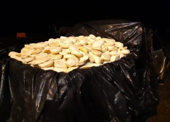 Carga de 600 quilos de queijo estragado apreendida na BR-153 iria para supermercados de Goiânia