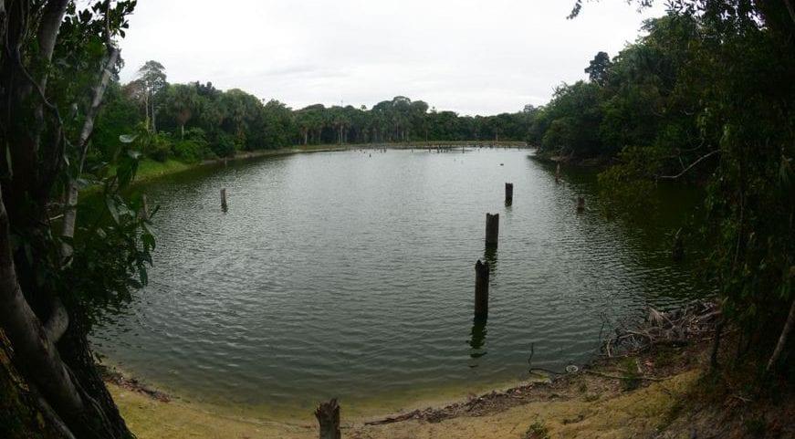 Ex-padrasto de criança baleada em Aparecida de Goiânia é preso ao se esconder dentro de lago