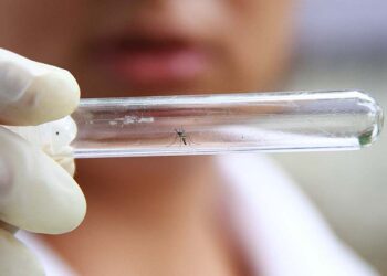Goiânia, Anápolis e Aparecida de Goiânia concentram maiores números de casos de dengue 
