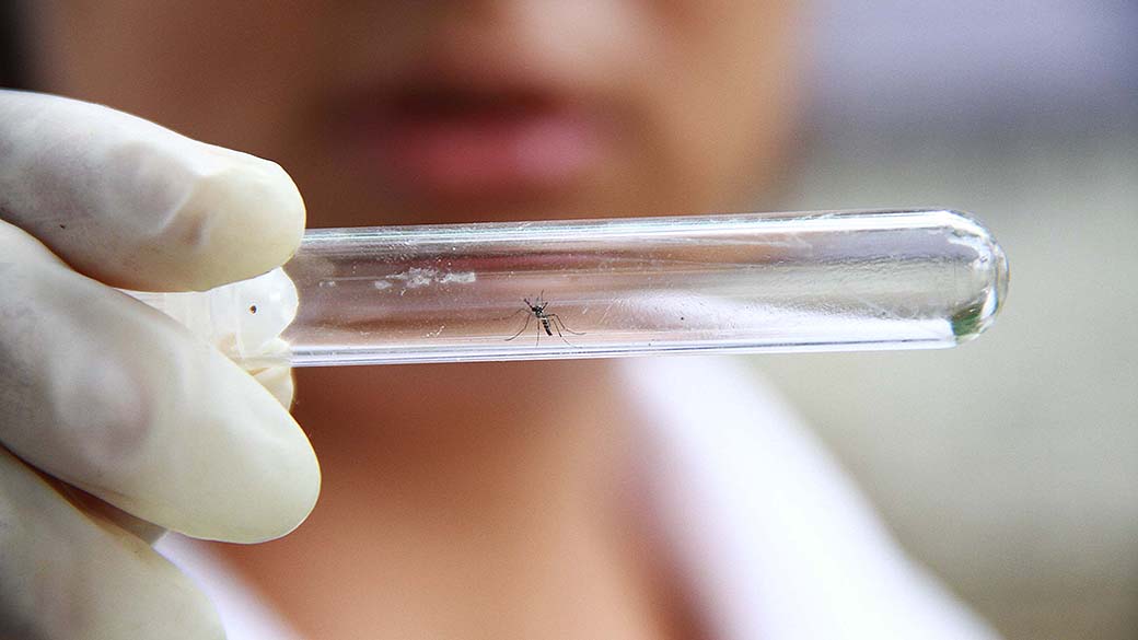 Goiânia, Anápolis e Aparecida de Goiânia concentram maiores números de casos de dengue 