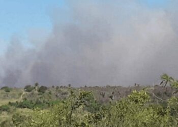 Incêndio destrói matas e ameaça aldeias pataxós em parque nacional da Bahia
