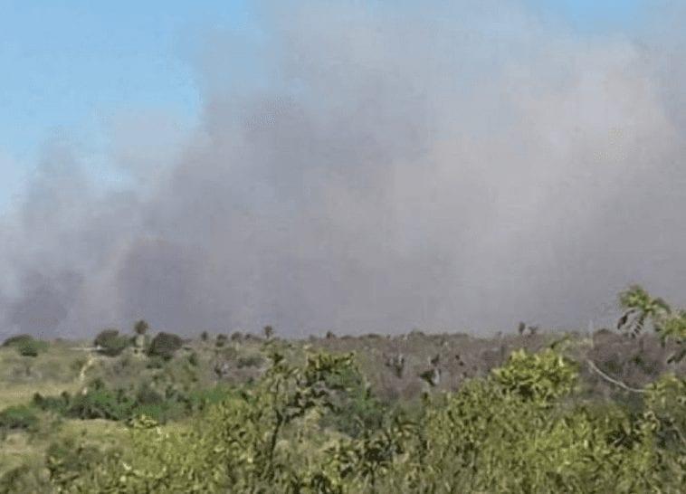 Incêndio destrói matas e ameaça aldeias pataxós em parque nacional da Bahia