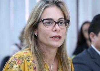 Secretária da Economia de Goiás realiza prestação de contas na Assembleia Legislativa