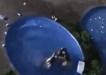 Vídeo mostra homem em piscina agredindo mulheres com socos e cotoveladas, em Águas Claras