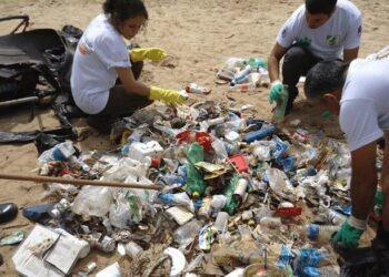 Ação retira lixo e protege espécies em águas costeiras de Ilhabela (SP)