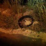 Carga de soja derramada provoca acidentes na BR-153, em Anápolis