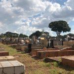 Esqueletos expostos e matagal: a situação de abandono do Cemitério Parque, em Goiânia