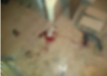 Após agredir a esposa homem decepa filhotes de cachorro, em Goiânia