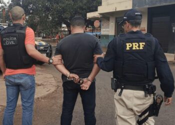 Caminhoneiro comunicava falsos roubos para entregar carga a quadrilha, em Goiás