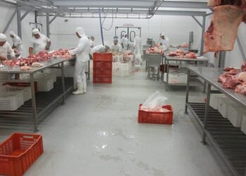 Operação da Secretaria da Economia flagra irregularidades em frigoríficos de Goiás