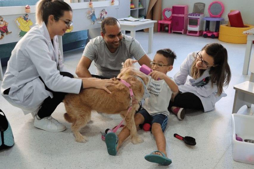 Projeto que permite Pet Terapia em hospitais de Goiânia é aprovado por unanimidade