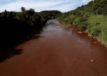 Vale diz que análises mostram que rio Paraopeba pode ser recuperado