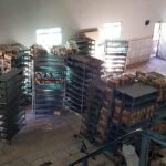 Apreendidos 1.037 kg de pão fabricado em meio a sujeira e ratos em Goiânia