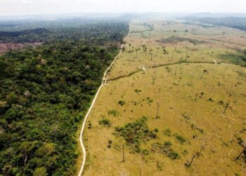 Desmatamento na Amazônia aumenta 15% e chega a 4.565 km²