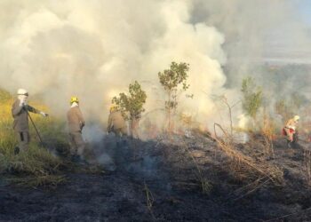 Incêndio atinge vegetação próxima ao Parque Estadual Altamiro de Moura Pacheco