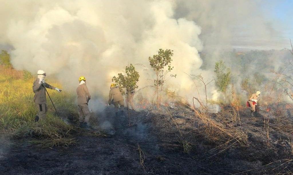 Incêndio atinge vegetação próxima ao Parque Estadual Altamiro de Moura Pacheco