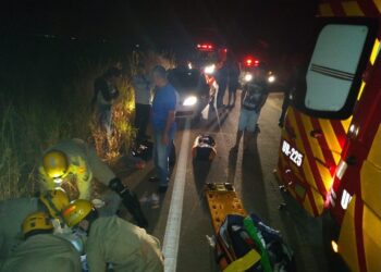 Motociclista morre após atropelar vaca na GO-330, em Catalão