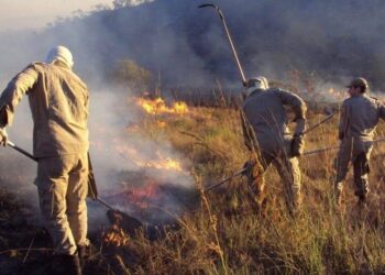 Bombeiros já registram mais de 1.300 queimadas em Goiás em agosto