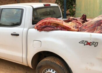 Polícia apreende duas toneladas de carnes impróprias ao consumo, em Rianápolis