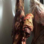 Polícia apreende duas toneladas de carnes impróprias para consumo, em Rianápolis