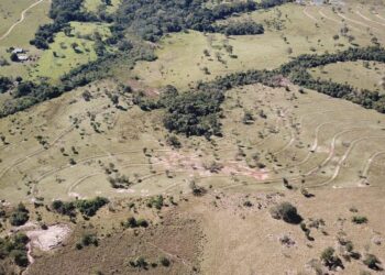 Secretaria permite parcelamento de multas e dívidas ambientais em Goiás