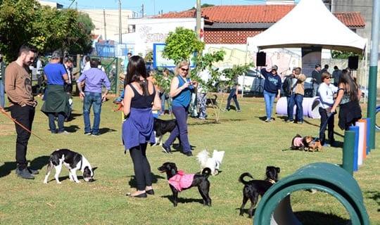 Aprovado projeto que cria espaço somente para cachorros em parques de Goiânia