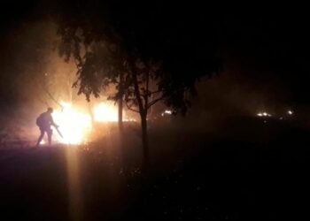 Curto-circuito em rede elétrica provoca incêndio em pasto, em Aurilândia